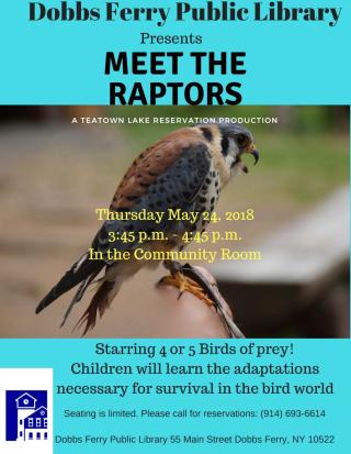 DF Public Library Presents:  Meet the Raptors