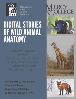 DF Public Library Presents:  Digital Stories of Wild Animal Anatomy